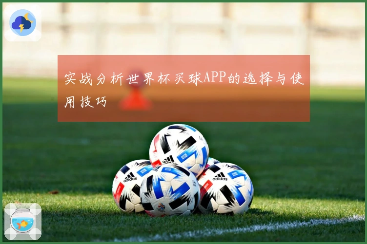 实战分析世界杯买球APP的选择与使用技巧