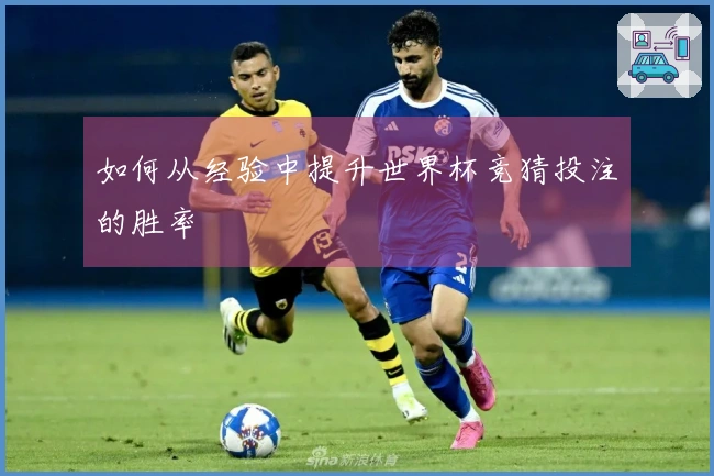 如何从经验中提升世界杯竞猜投注的胜率