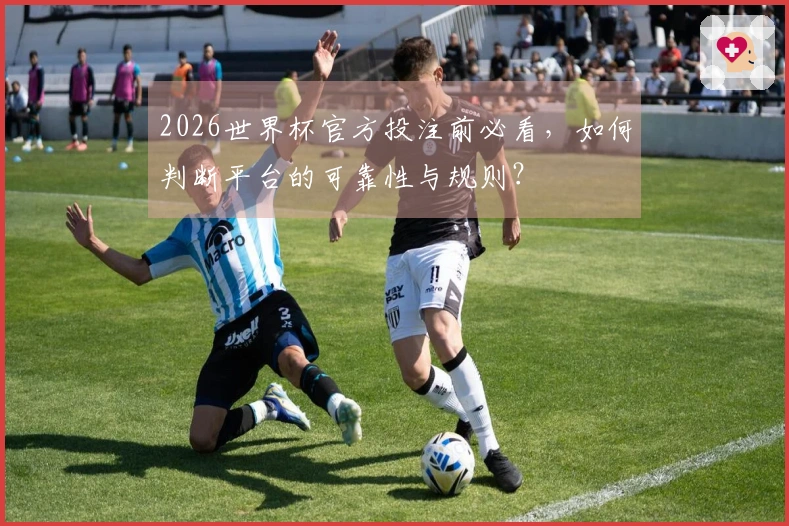 2026世界杯官方投注前必看，如何判断平台的可靠性与规则？