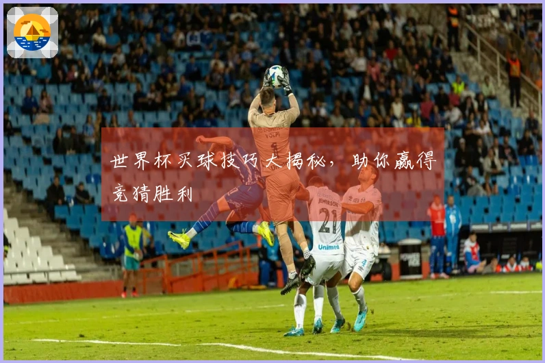 世界杯买球技巧大揭秘，助你赢得竞猜胜利