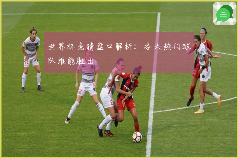 世界杯竞猜盘口解析：各大热门球队谁能胜出