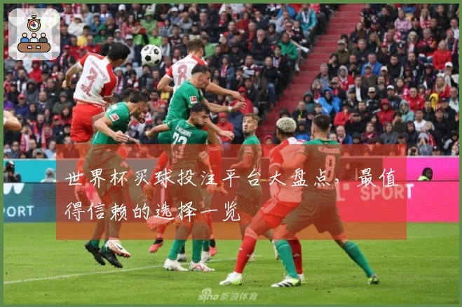 世界杯买球投注平台大盘点，最值得信赖的选择一览
