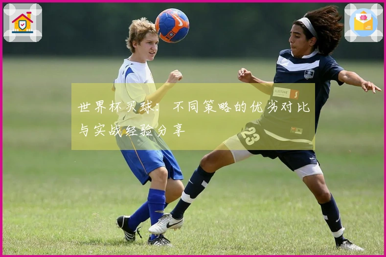 世界杯买球：不同策略的优劣对比与实战经验分享