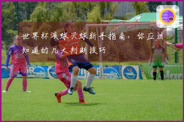 世界杯滚球买球新手指南，你应该知道的几大判断技巧