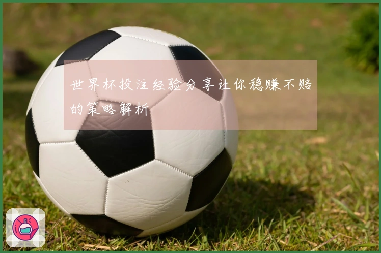 世界杯投注经验分享让你稳赚不赔的策略解析