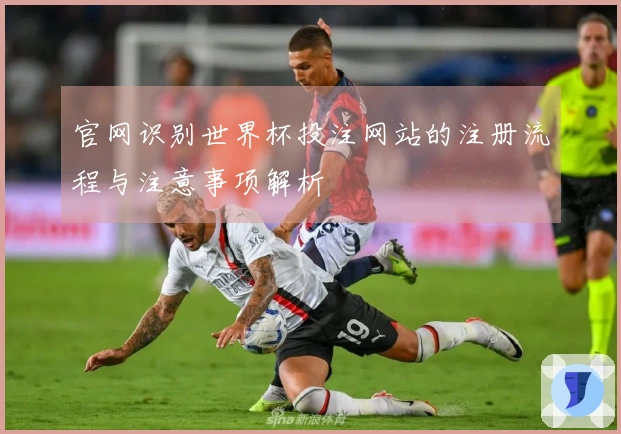 官网识别世界杯投注网站的注册流程与注意事项解析