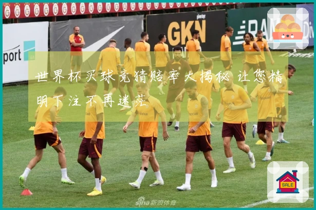 世界杯买球竞猜赔率大揭秘 让您精明下注不再迷茫