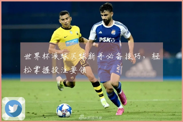 世界杯滚球买球新手必备技巧，轻松掌握投注要领