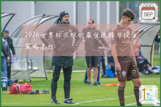 2026世界杯买球的最佳选择与投注策略总结