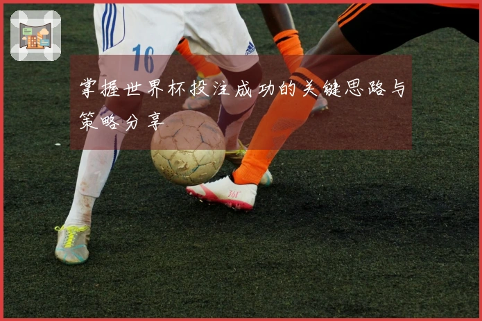 掌握世界杯投注成功的关键思路与策略分享