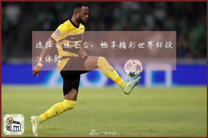 选择合适平台，畅享精彩世界杯投注体验