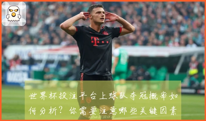 世界杯投注平台上球队夺冠概率如何分析？你需要注意哪些关键因素？
