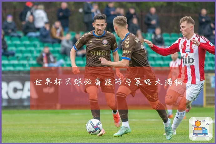 世界杯买球必备技巧与策略大揭秘