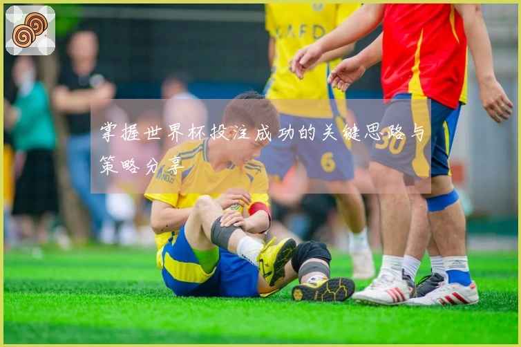掌握世界杯投注成功的关键思路与策略分享