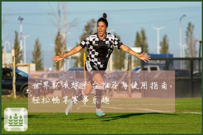 世界杯滚球平台推荐与使用指南，轻松畅享赛事乐趣
